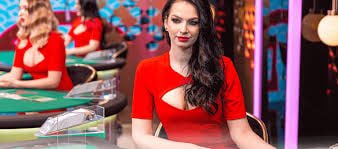 535bet app